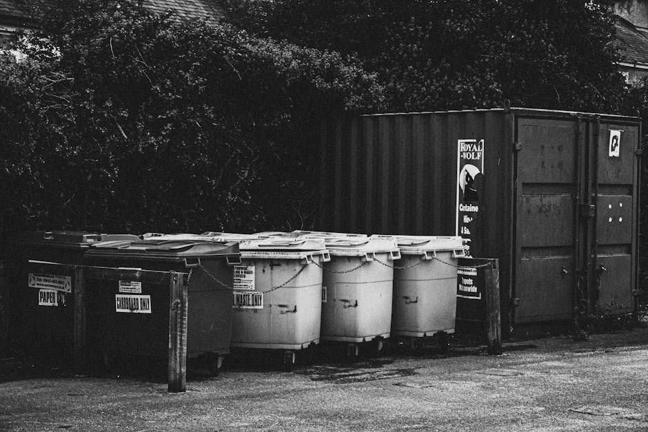 A line of five large wheeled waste bins positioned on a paved area outside a property, with a dark fencing panel behind them. The first two bins are black, designated for paper and cardboard disposal, with labels indicating their purpose. The remaining three bins are white, intended for general waste, with lids securely closed. A wooden post with a sign is situated next to the bins, and a large dark shipping container with the Royal MOLF logo and text is visible in the background. The scene appears to be part of a home relocation or clearance process, possibly involving the disposal of bulky items like furniture or packaging materials, commonly associated with house removals and furniture transport services. The lighting suggests an overcast or shaded environment, emphasizing a neutral, factual depiction suitable for accessibility and SEO relevance in moving-related content.
